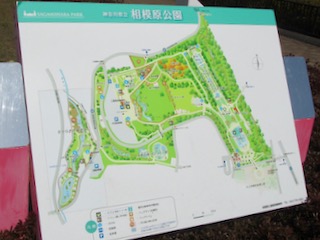 相模原公園