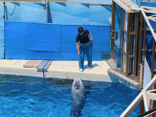 新江ノ島水族館