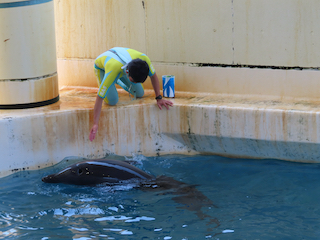 新江ノ島水族館