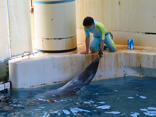 新江ノ島水族館