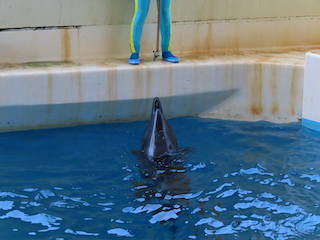 新江ノ島水族館