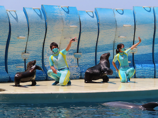 新江ノ島水族館