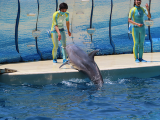 新江ノ島水族館