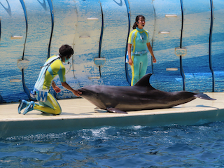 新江ノ島水族館