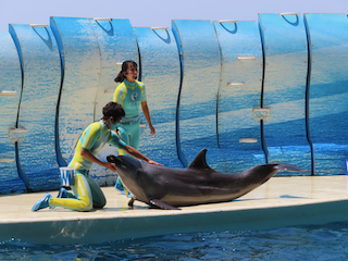 新江ノ島水族館