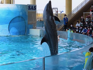 新江ノ島水族館