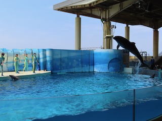 新江ノ島水族館