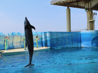 新江ノ島水族館