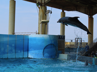 新江ノ島水族館