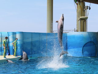 新江ノ島水族館