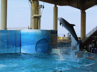 新江ノ島水族館