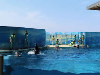 新江ノ島水族館