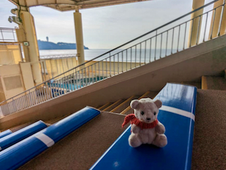 新江ノ島水族館