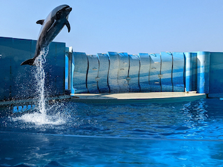 新江ノ島水族館