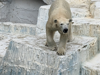 天王寺動物園