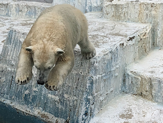 天王寺動物園