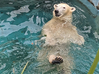 天王寺動物園