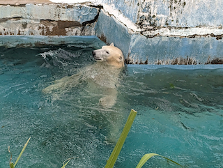 天王寺動物園