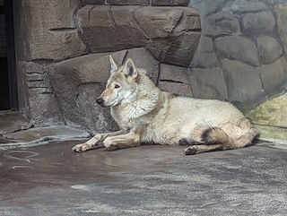 天王寺動物園