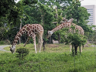 天王寺動物園