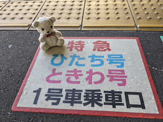 ホーム