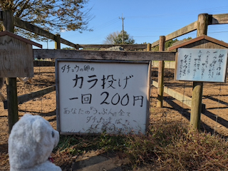 殻投げ