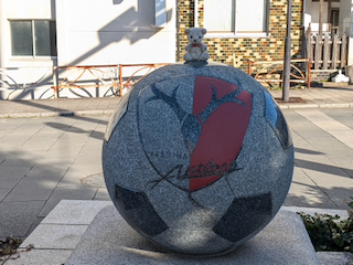 ボール